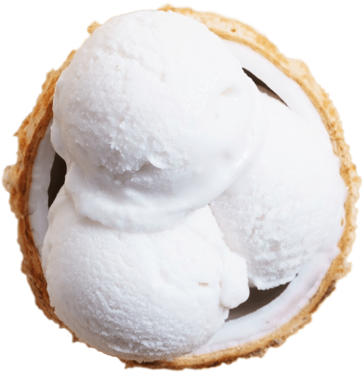 Vegan-coconut-based-ice-cream-in-coconut-shell